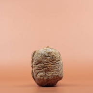 Das Hautpflegeprodukt SHEA GOLD Black Soap 100g in der Vorderansicht vor einem braun-orangen Hintergrund.