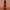 AS I AM Jamaican Black Castor Oil Conditioner 355ml Tube Rückseite