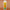 CANTU Avocado Hydrating Conditioner 400ml Vorderseite