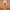 CANTU Grapeseed Conditioner 400ml Rückseite