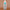 CURLS UNLEASHED Mango Leave-In Conditioner 354ml Rückseite