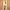 Kunsthaar X-PRESSION Ultra Braid Hair dunkel Goldblond Farbe 27